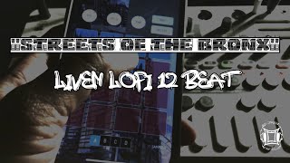 “Streets of The Bronx” (Liven Lofi 12 Beat)