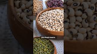 How to Grow Beans? #coffeebeans #coffee #coffeelover #cafe