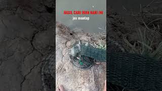 Ketagihan cari ikan disini