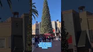 Así de vacío está el mall de citadel #navidad #blackfriday