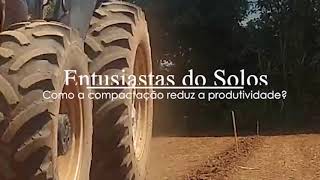 Como a Compactação reduz a produtividade?