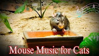 Relaxing for Cats - Cat Games - Mouse Music - Calm - Video Relaxing for Cats - Paul Bardor