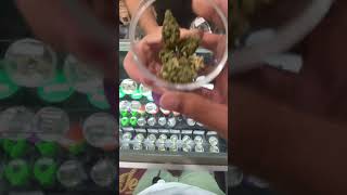 ANO ANG ITSURA NG LOOB NG ISANG TINDAHAN NG WEED|CANNABIS?