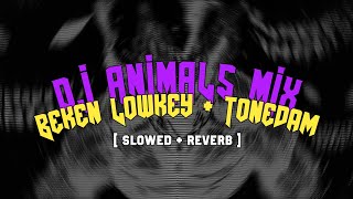 DJ ANIMALS ( BEKEN LOWKEY + TONEDAM ) ( slowed + reverb )