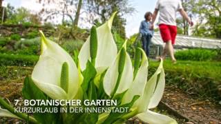 12 Orte für den perfekten Sommer in Gießen