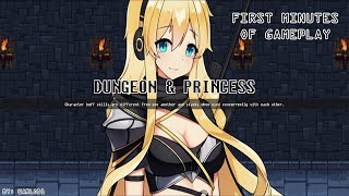 First minutes of Dungeon Princess!