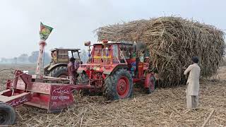 9 Tractors + Lazer Full Stuck in the mud Suggrance Lod Trailer