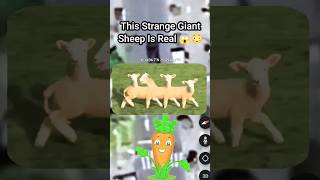 strange giant sheep is real 😳👀 on google maps #shorts #youtubeshorts #googleearth