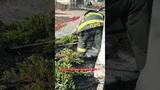 Firefighters 🚒 in Action: Mulch Fire 🔥 Extinguished #fire #mulch #firefighter #shorts #trending