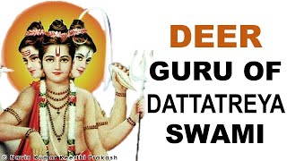 DEER IS 15TH GURU OF DATTATREYA SWAMI 24 GURUS