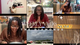 WEEKLY VLOG: Birthday Celebration, Baby 3D/4D Ultrasound, Nobu, & Preparing for Moving