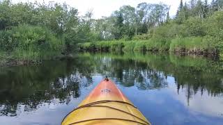 Out on the East Canada Creek - June 18, 2023