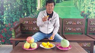 perbedaan mangga agrimania dari pohon induk dan dari biji .