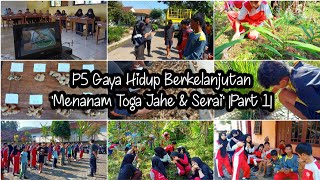 P5 Gaya Hidup Berkelanjutan : Menanam Toga Jahe & Serai |Part 1|