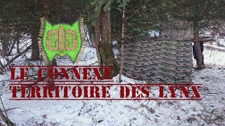 Bivouac Bushcraft Le Connexe Territoire Des Lynx 28/01/2017