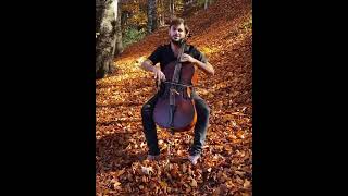 Cello Shreds -"Autumn Leaves"