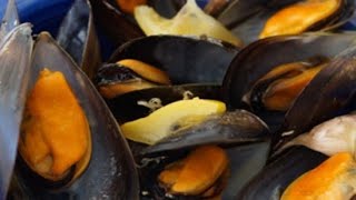 طريقة ساهلة لطبخ بلح البحر(بوزروك بالعامية)// mejillones al vapor