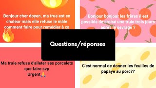 Question Réponses EP 01