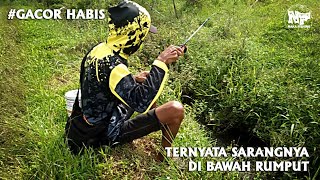 Micro fishing || Ternyata dibawah rumput jadi sarang ikan #microfishing #mancingnilem #mancingliar