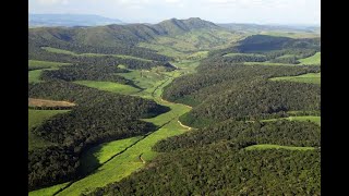 Webinar: Efeito de Borda: Perspectivas Biológicas e da Estrutura da Paisagem