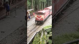 阿里山小火車_神木站發車 #嘉義阿里山 # alishan #taiwanattraction