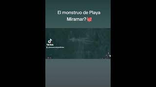 #CiudadMadero Monstruo Marino en Playa Miramar? 🐙El presunto monstruo marino #Viral