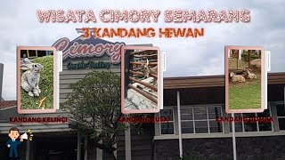 WISATA CIMORY SEMARANG || BERPETUALANG KE TIGA KANDANG HEWAN