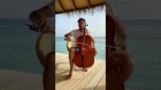 Cello Shreds  - "Vacation in Paradise"