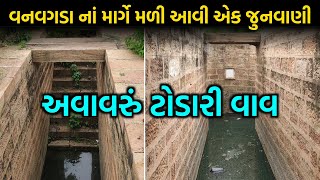 વનવગડા નાં માર્ગે મળી આવી એક જુનવાણી અવાવરું ટોડારી વાવ