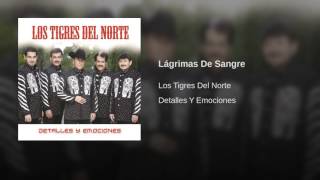 Lágrimas De Sangre Los Tigres Del Norte