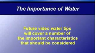 Water Tip - 1 - The Importance of Water