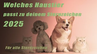 Welches Haustier passt zu deinem Sternzeichen 2025  Horoskope/Sternzeichen/Planetenenergie