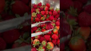 Strawberry yummy #happy #vlog #shorts  #fruit  #yummy  #travel  #trending