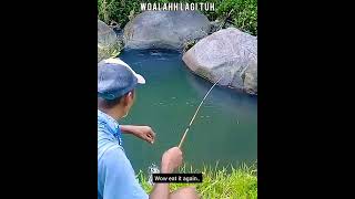 Ikannya NgePRANK Boss / Getting Pranked With Fish #Shorts