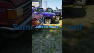 Some obs fords in my main yard 6 of them are 300-6 haha #shorts #obs #300-6