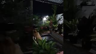 Menikmati suasana malam