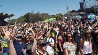 PROTOJE - protection ~ criminal live California Roots 8 2017