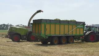 Claas Jaguar 960 mit Vorsatz  PICK UP 300 Meter Triticale Häckseln Martin Tauschmann von der IKT Bio