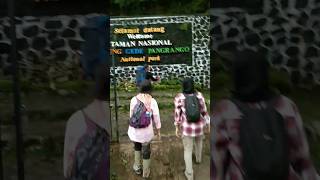 Gunung Gede Pangrango Via Cibodas #shorts