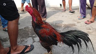 dolan pasar pahing wedi Klaten Jawa Tengah