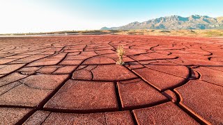 Día Mundial de Lucha contra la Desertificación y la Sequía