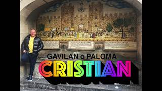 GAVILAN O PALOMA..