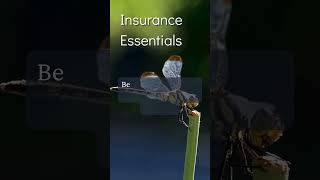 Insurance Essentials