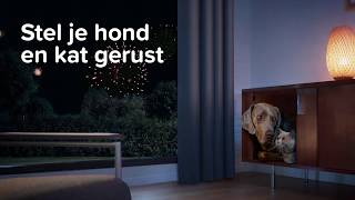 Vuurwerkangst? Stel je hond en kat gerust