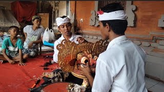 NGODAK/MECIKAN SESUHUNAN JAGAT TISTA TABANAN || SANGGING NYOMAN TRIYANA