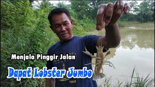 Lobster Air Tawar JUMBO Hasil Menjala Pinggir Jalan Siak 2 Pekanbaru, Langsung Konsumsi