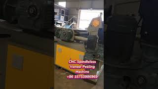 High quality CNC Spindless veneer peeling machine