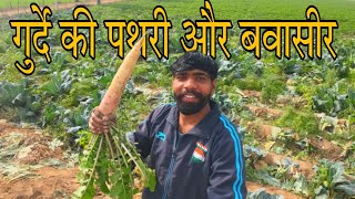 गुर्दे की पथरी और बवासीर का सस्ता और बढ़िया इलाज : Cheap treatment for kidney stones and hemorrhoids