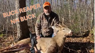 Buck late season in New Hampshire - Buck Reaper