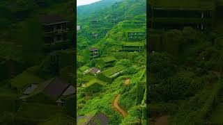 Beautiful Houses #shorts #youtubeshorts #viral #viralvideo